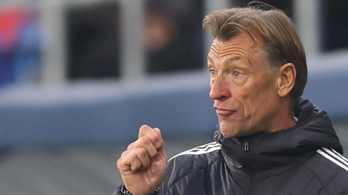 Hervé Renard nouveau sélectionneur de Tunisie après le licenciement de Lamouchi